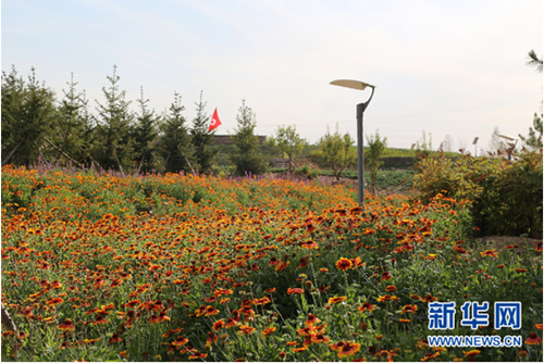 Baotou agrees PPP framework with M-grass on city environment