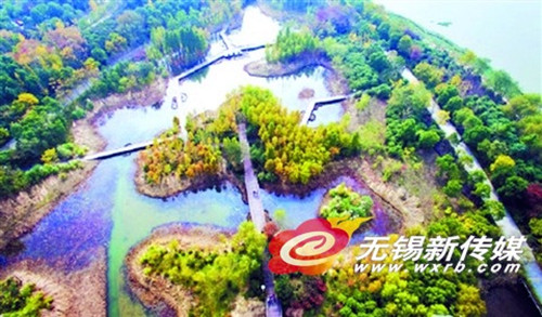 Changguangxi Wetland wins provincial award