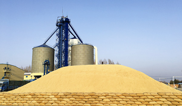 NE China wants to increase grain production