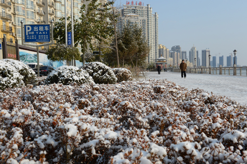 Dandong citizens enjoy first snow