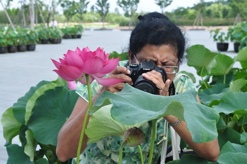 International lotus lovers visit Chenshan