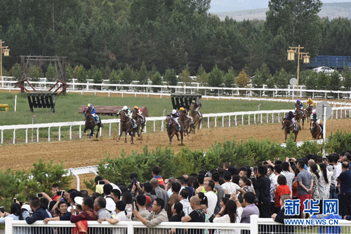 Youyu county hosts major horse racing competition