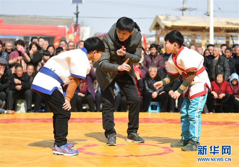 Wrestling for sheep goes with a swing in Shanxi