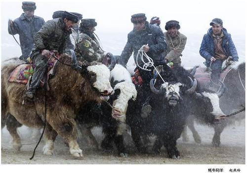 Charming Xinjiang shines in photography exhibition