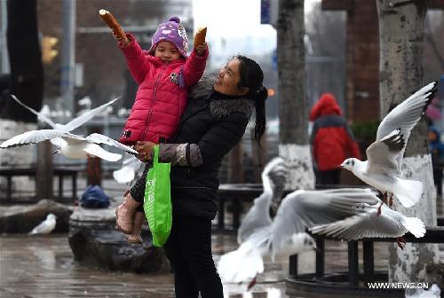 Snow and rain hits China's Kunming