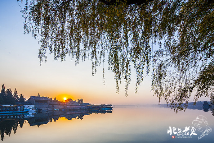 Four seasons in Beijing's parks