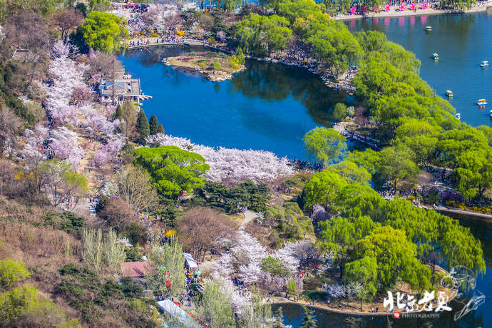 Four seasons in Beijing's parks