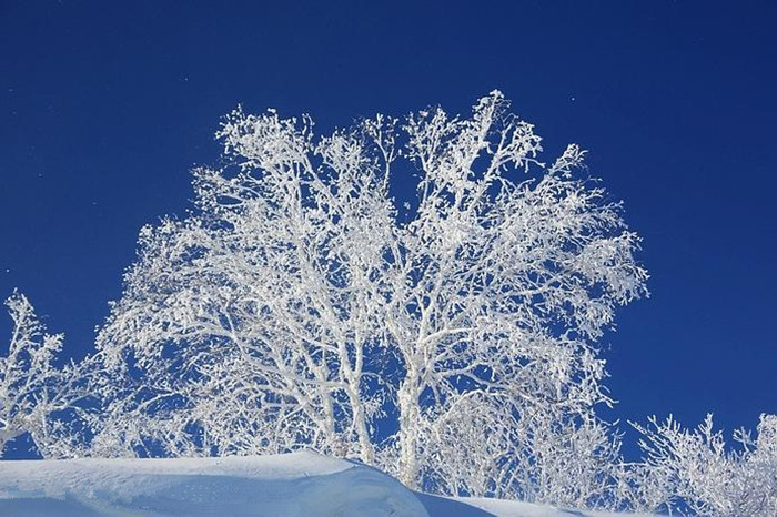 Snow Town: Mudanjiang