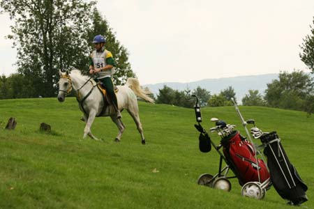 South Africa's Cornelius van Niekerk rides Ilion du Fier during the 160 kilometer endurance ride of the World Equestrian Games in Aachen August 21, 2006. 