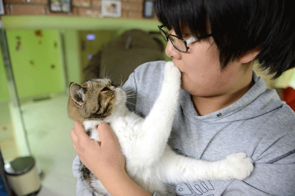 Cat cafe hopes to protect stray animals