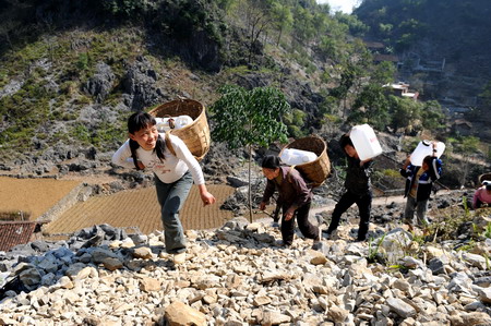 Guangxi farmers fight against drought