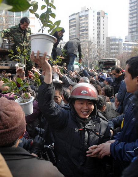 Free plants distributed in Wuhan