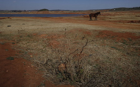 Surviving on muddy water