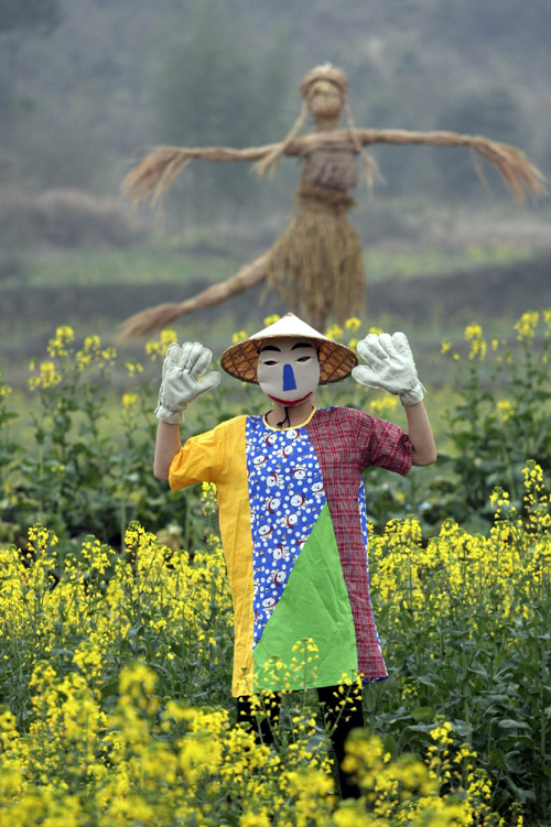 Oilseed Rape Flower Festival in Zhejiang