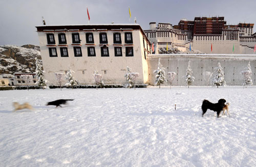 Spring snow in Lhasa