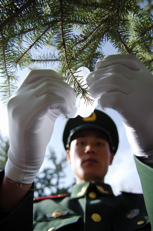 Tomb-sweeping, Chinese reverence to the dead