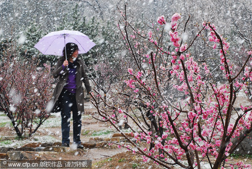 Shandong gets a coating of spring freeze