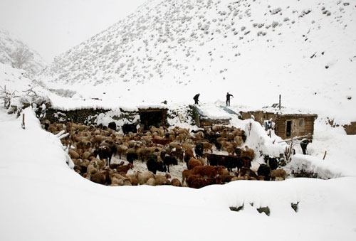 Heavy snow hits Xinjiang