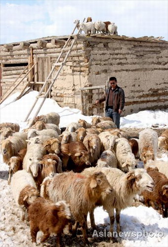 Early summer snowscape in Xinjiang