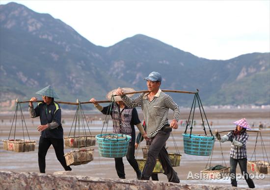 Fishers return from collecting razor clams