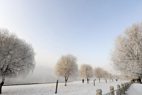 Rime-covered city tells fairyland tale