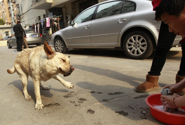 Owners seek a spot for their guide dogs