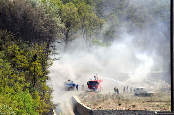 Forest fire put out in NE China