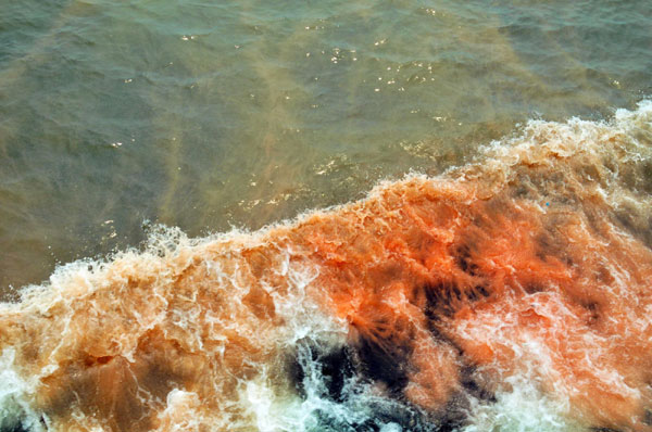 Red tide formed after oil spills