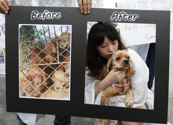 Seoul activists: Dogs are friends, not food