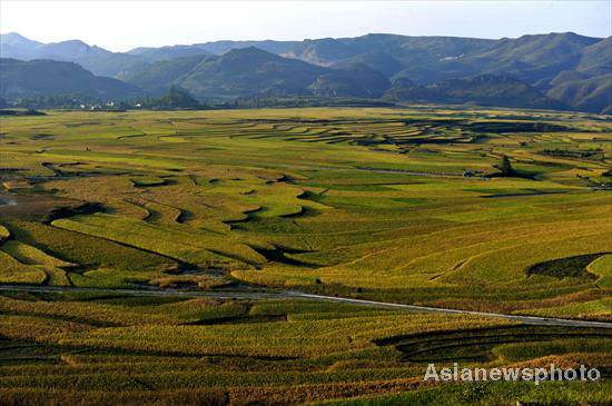 Autumn photos: Focus on fields