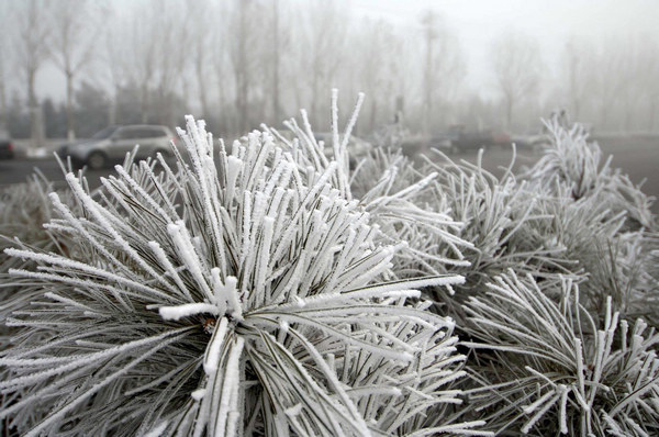 Dense fog shrouds east and north China