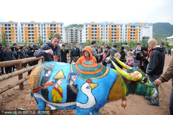 Colorful buffalo attracts attention in SW China