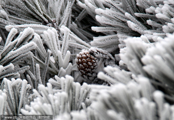 Yellow Mountain covered in frost