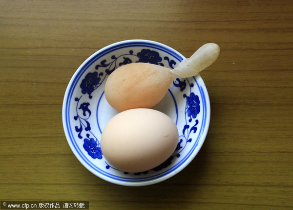 Deformed egg with bizarre tail