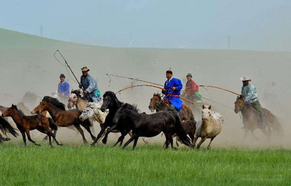 Equestrians demonstrate horse lassoing