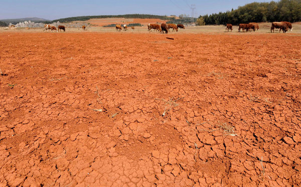 Severe drought hits Southwest China