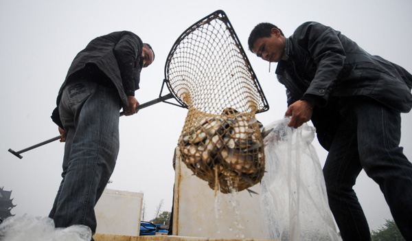 Fishing ban to help boost river population