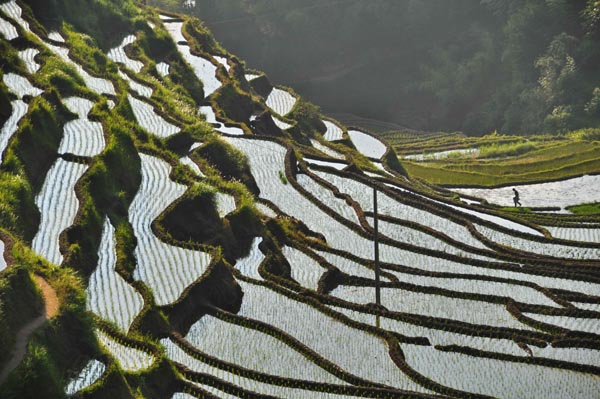 Terraces are another world