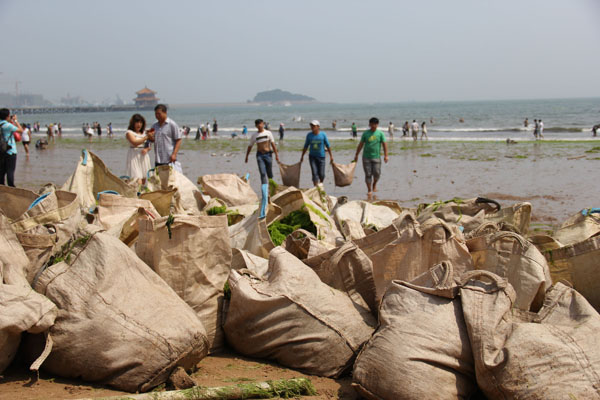 Hazardous algae cleared from China's waters