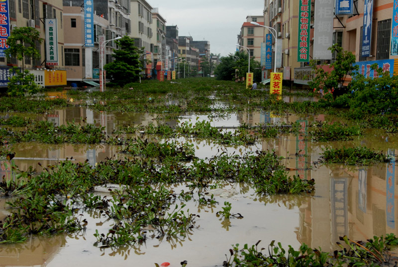 9 killed in south China floods