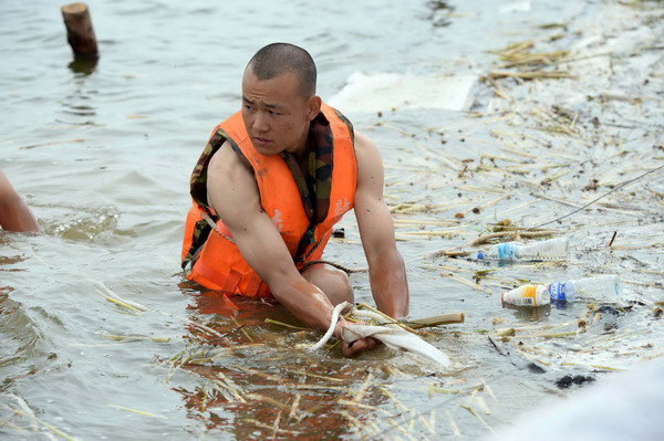 Levees reinforced in NE China