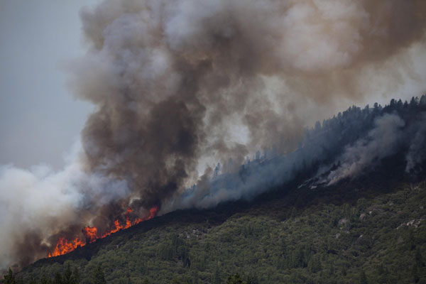 Fast-moving fire rages through California park