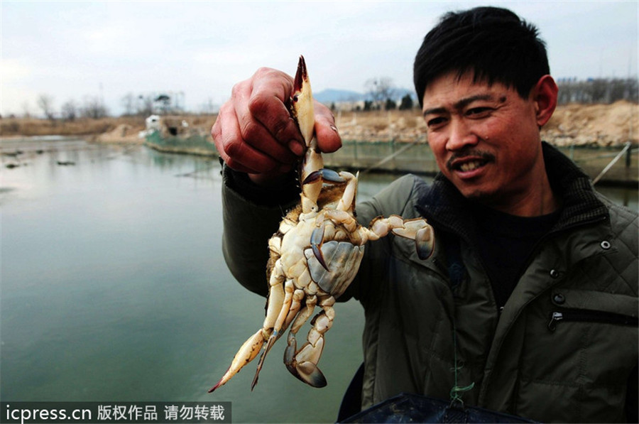 Oil spill from Qingdao blast kills sea life