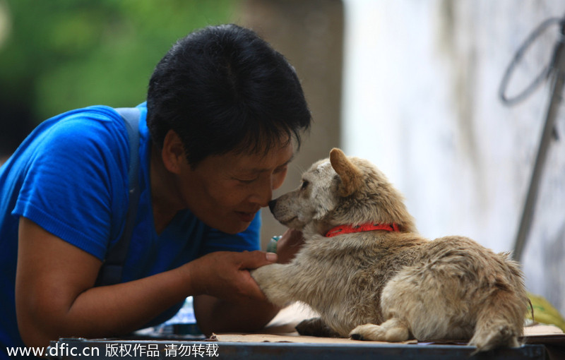 Yulin dog meat vendors make money off activists