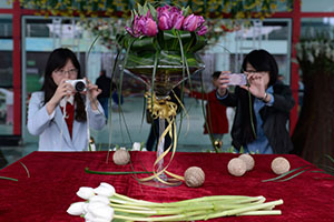 Precious tulips plundered in Central China