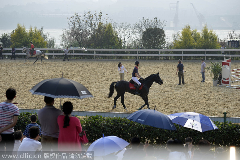 A galloping success in SW China’s Chongqing