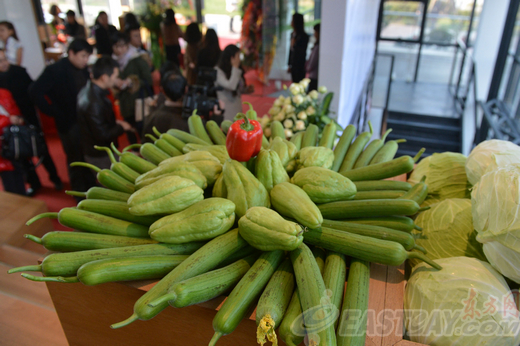 Roof garden making its debut in Lujiazui