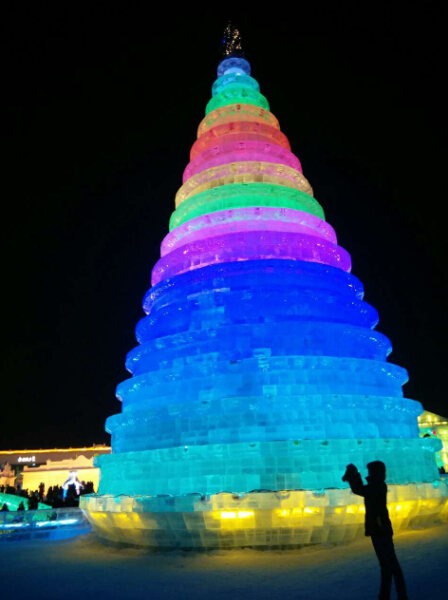 Tourists have fun in ice and snow wonderland in Harbin