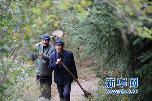 Twins spend 48 years planting forest to prevent mudslides