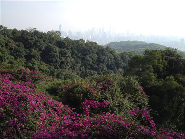 Journey to the Silk Road - Guangdong